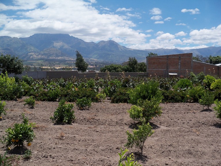 Ultra Versatile Property in Atuntaqui