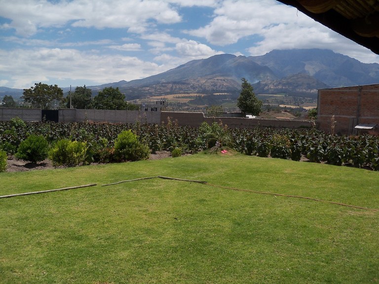 Ultra Versatile Property in Atuntaqui