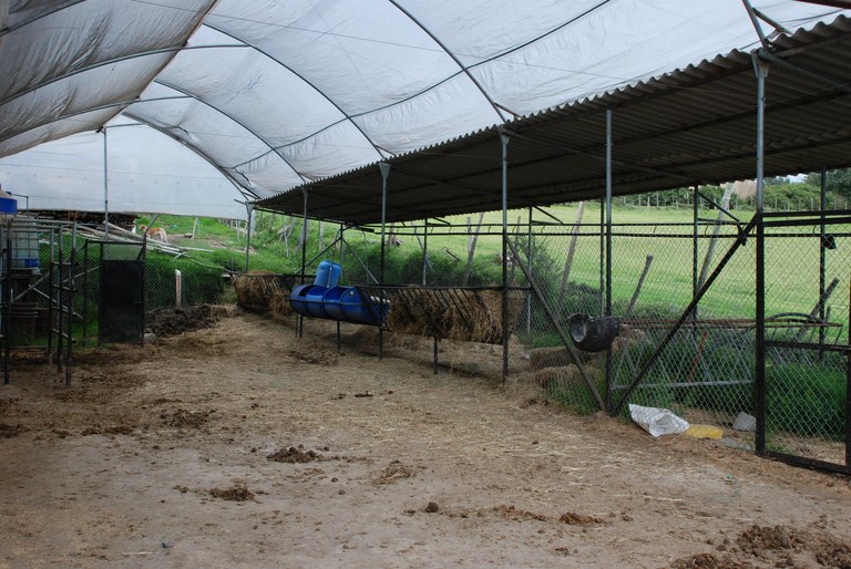 Price Change Alert Profitable Rose Farm in Tabacundo for Sale