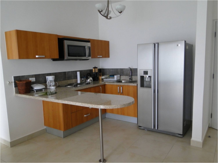 Fully furnished 2 bedroom apartment available for purchase or rent on