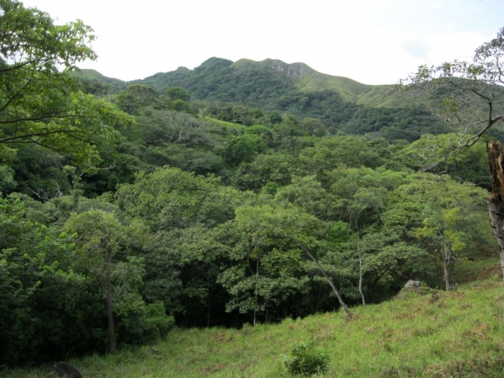 Veraguas Panama Real Estate Beautiful riverfront farm with swimming