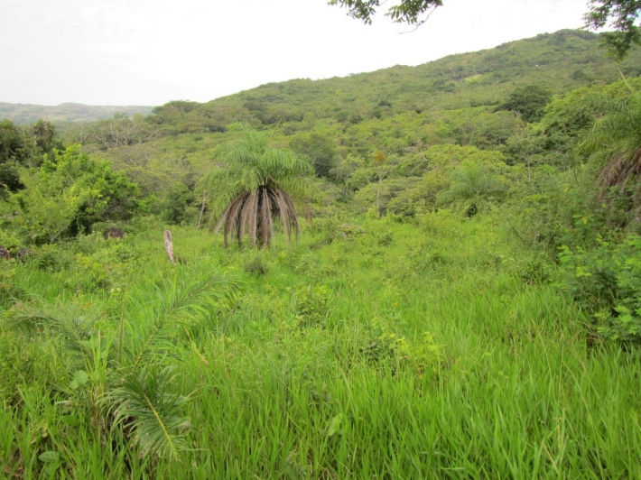 Veraguas Panama Real Estate Beautiful riverfront farm with swimming