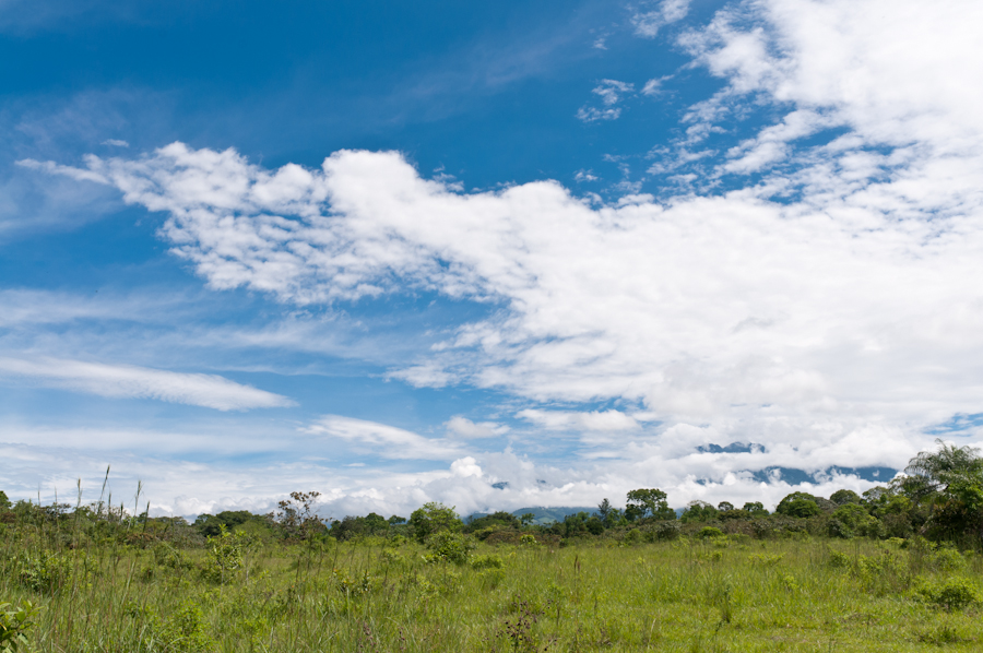 Potrerillos Panama Real Estate Commercial Property “Zapadora” for Sale in Panama Highlands near