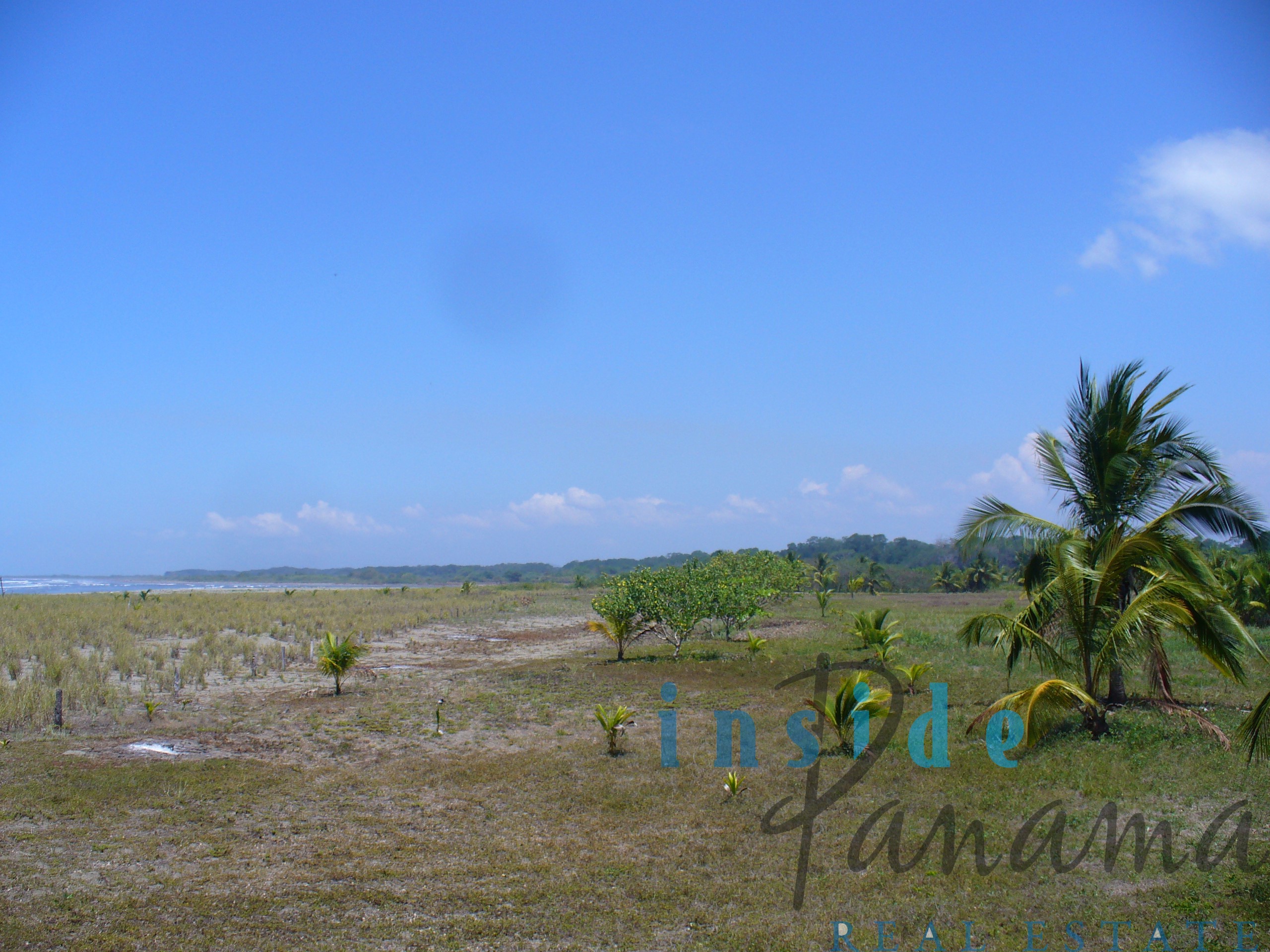 Playa las Lajas Panama Real Estate Fantastic 5 Hectare Oceanfront Lot