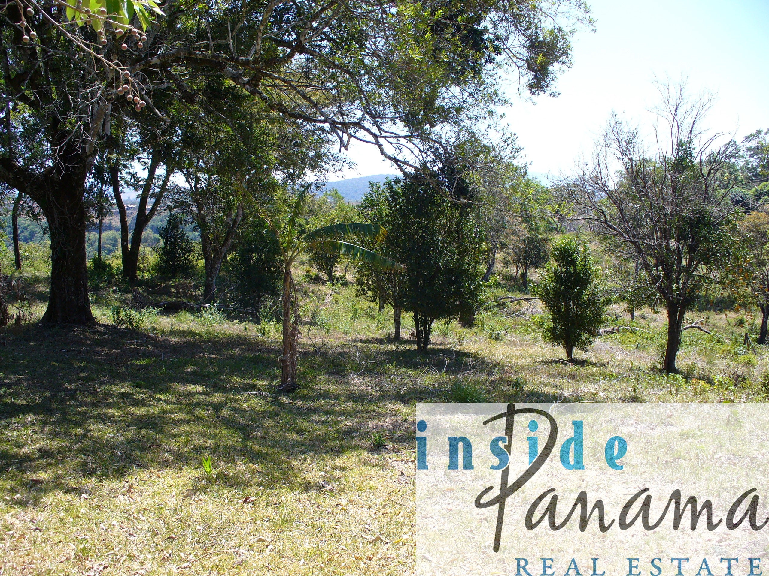 Boquete Panama Real Estate 1 Hec. + 7,922.77m2 of Buildable Raw Land