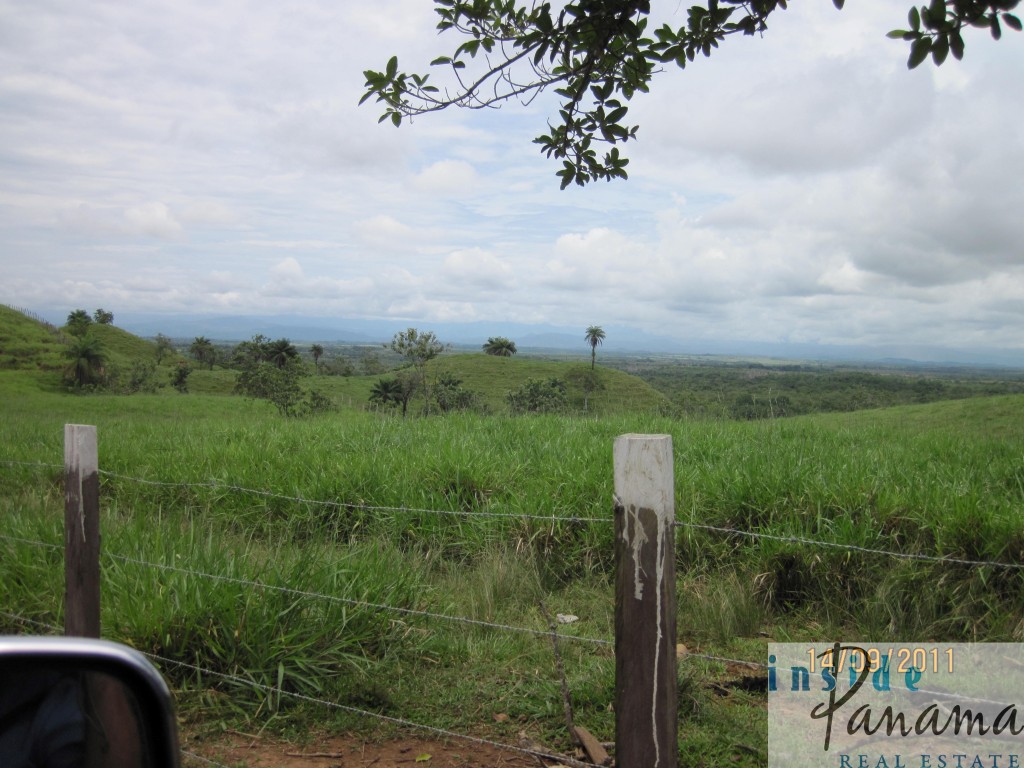 Farm For Sale with Incredible Views In Boca Chica, Panama