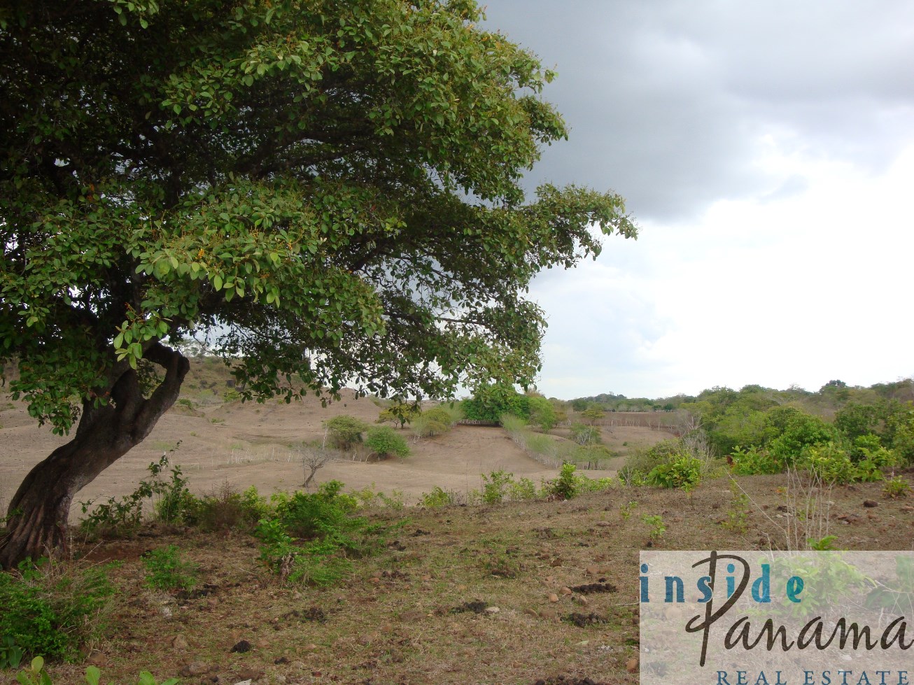 Azuero Panama Real Estate 11 Hectare Farm For Sale Near Chitre, Panama 10