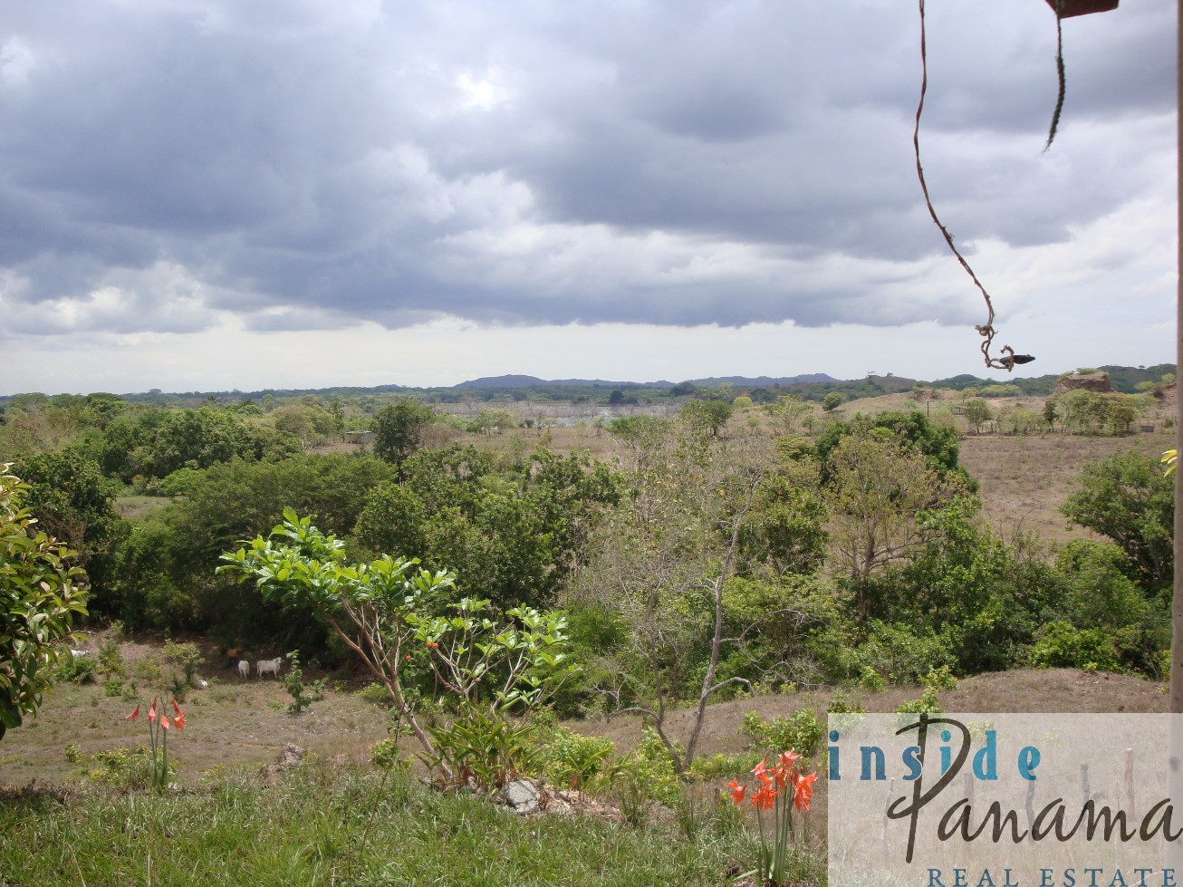 Chitre Panama Real Estate 7.4 Hectare Farm And Home For Sale Near