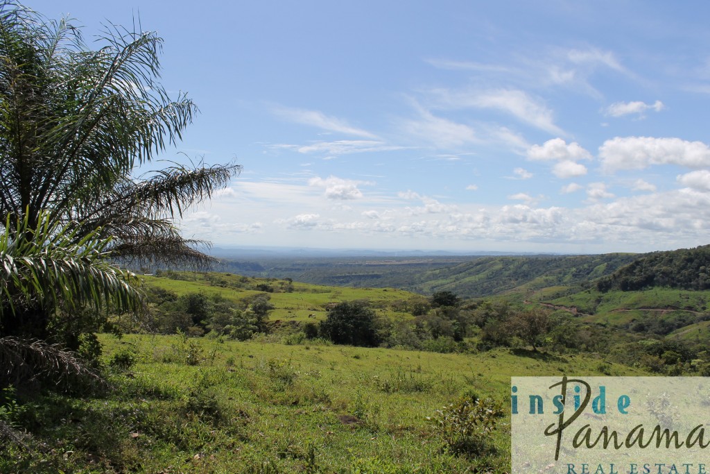 Spectacular Farm for Sale in Boquete, Panama.