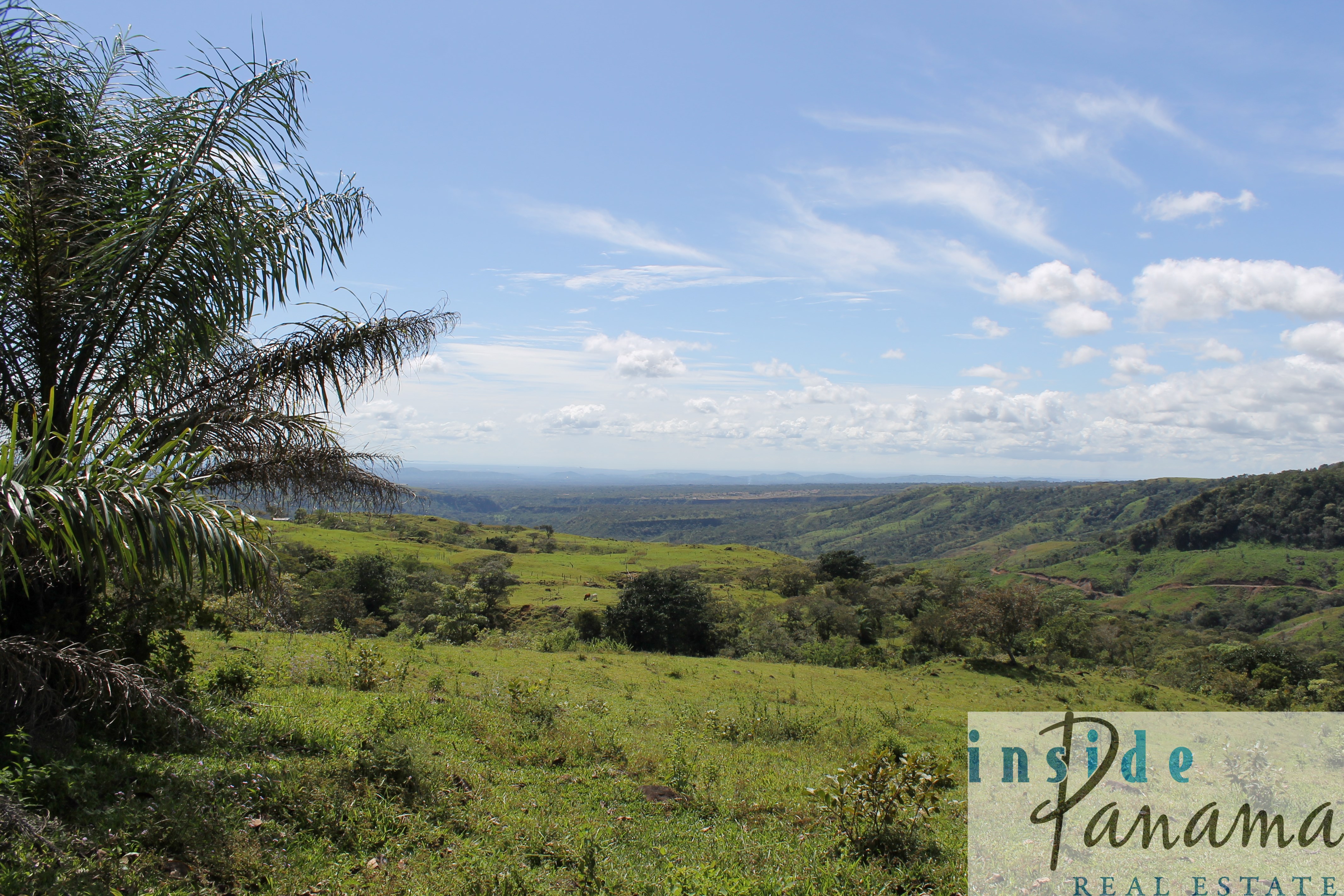 La Estrella Panama Real Estate Spectacular Farm for Sale in Boquete