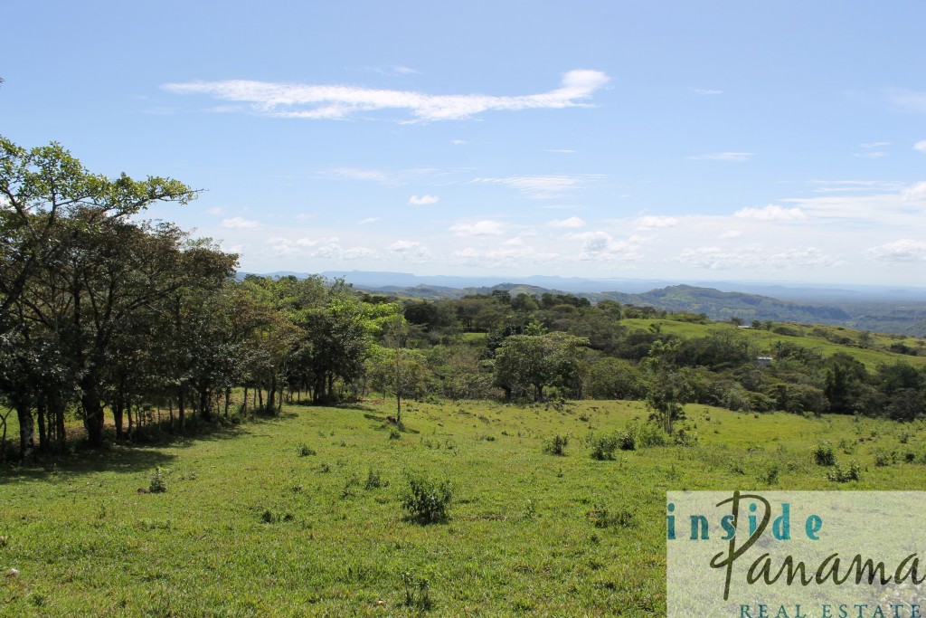 Spectacular Farm for Sale in Boquete, Panama.