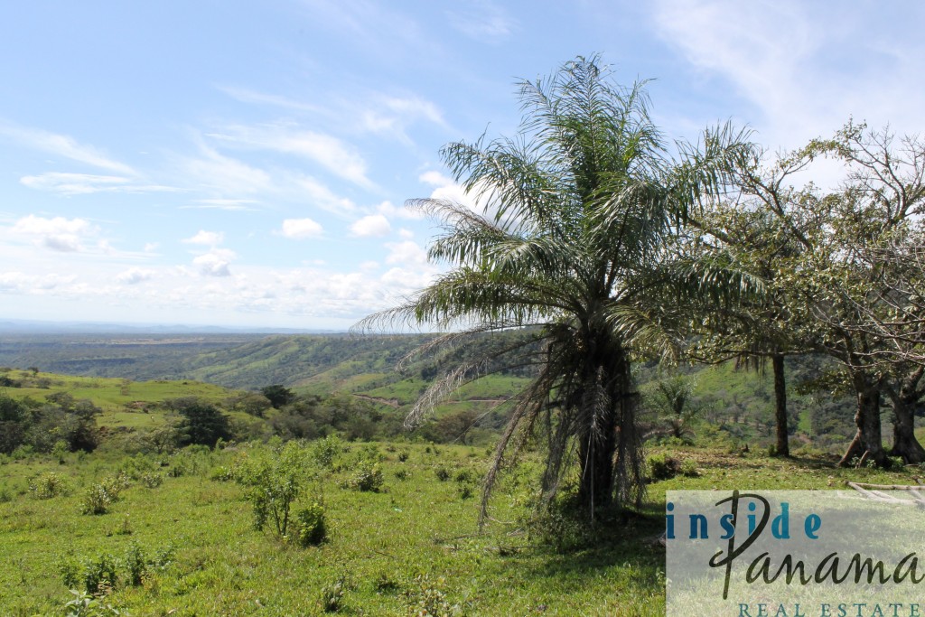 Spectacular Farm for Sale in Boquete, Panama.