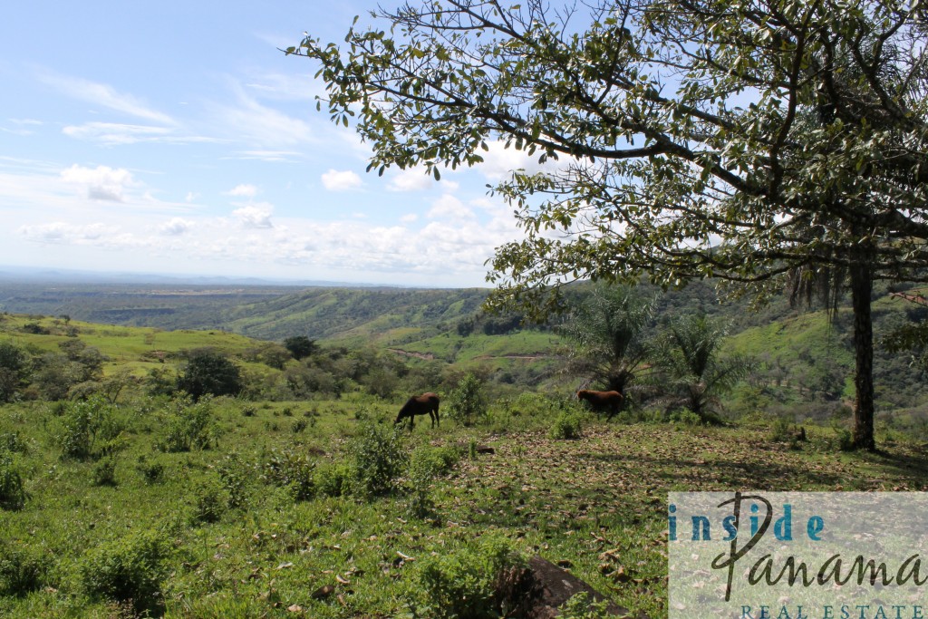 Spectacular Farm for Sale in Boquete, Panama.