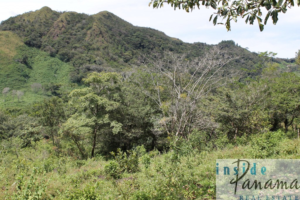 Spectacular Farm for Sale in Boquete, Panama.