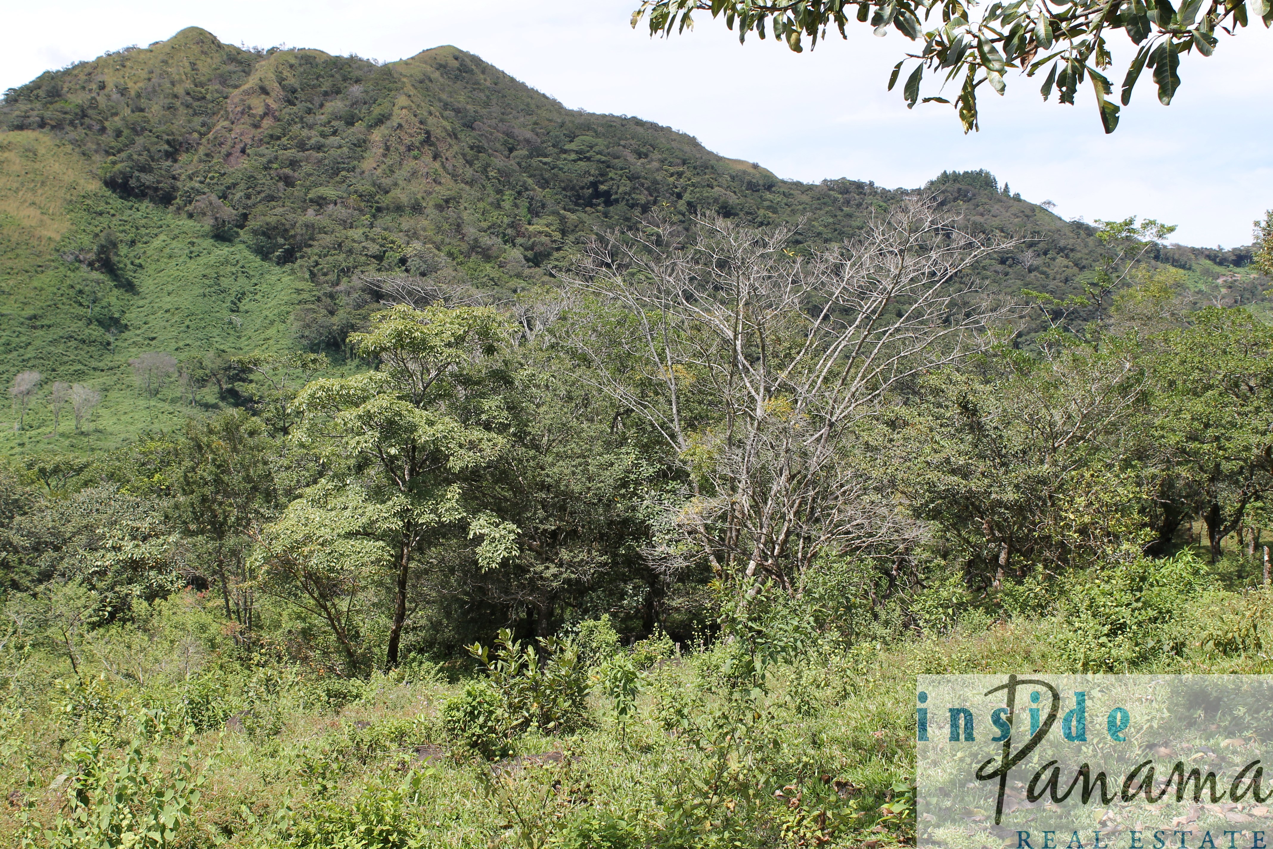 La Estrella Panama Real Estate Spectacular Farm for Sale in Boquete