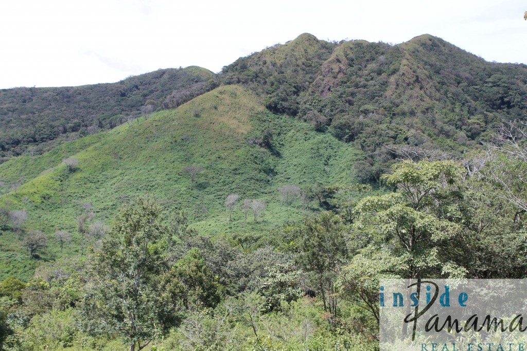 Spectacular Farm for Sale in Boquete, Panama.