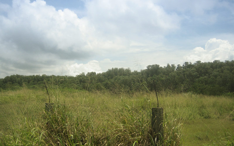 Roadside Lot with Development Potential For Sale in Punta Chame, Panama