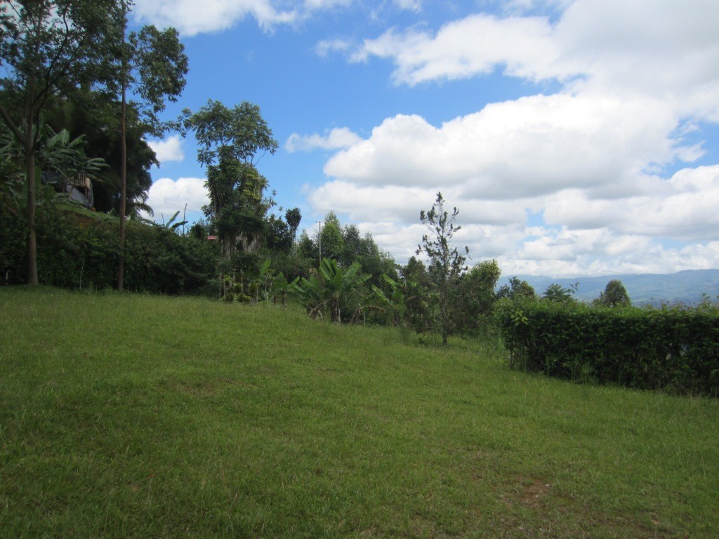 Getaway Mountain Home On 2 Acres Above San Isidro With City Views