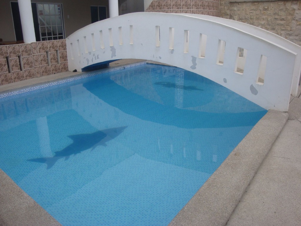 An Apartment, Three Suites, A Place To Live And Rental