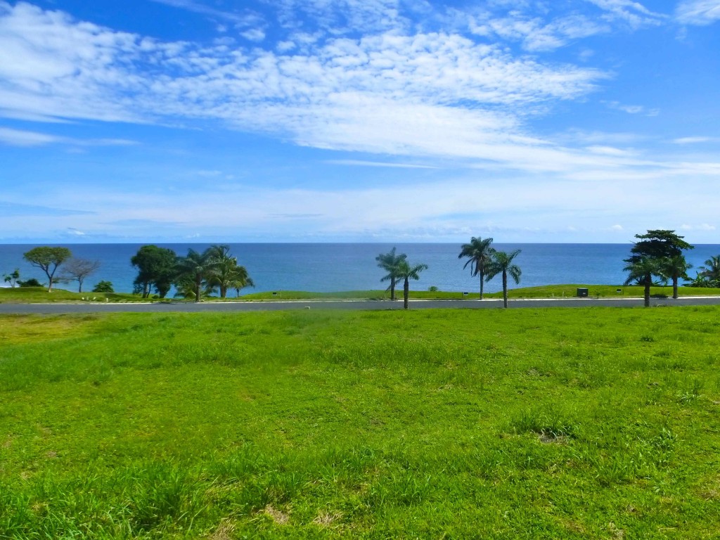 Phase I Land for sale in Andromeda, Pedasi.