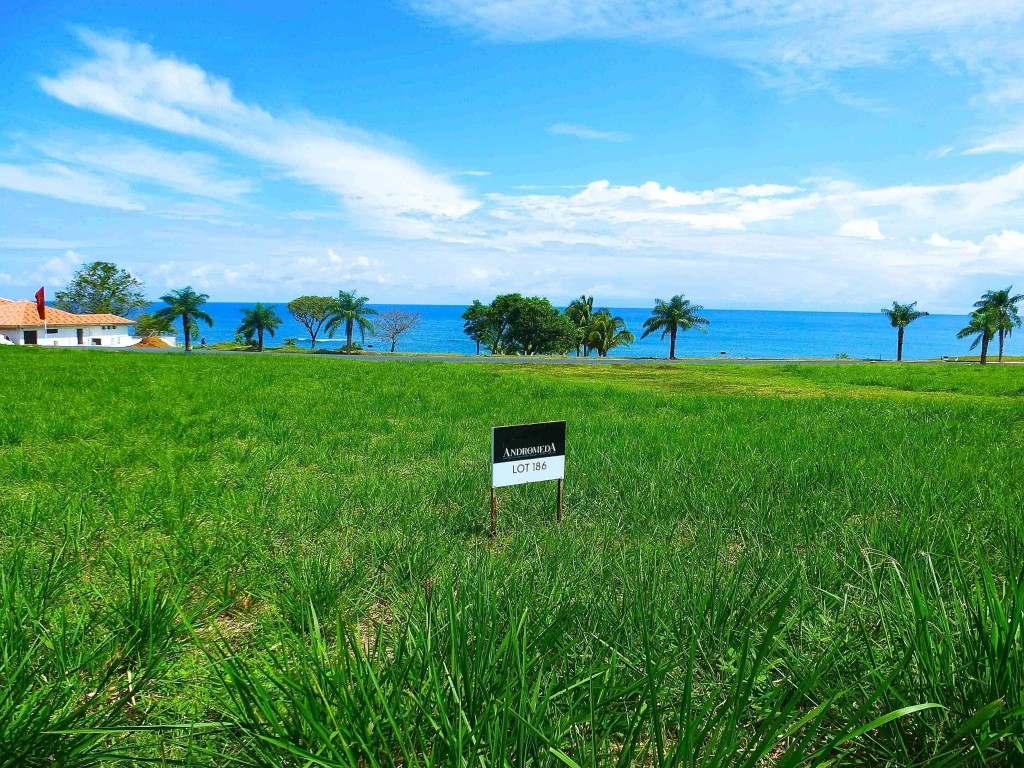 Phase I Land for sale in Andromeda, Pedasi.