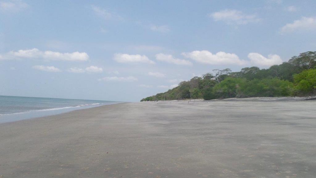 Farmland for sale in the Epicenter of Commercial Growth