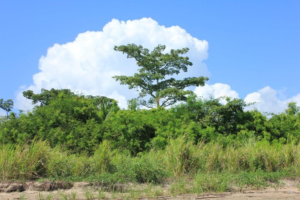 Darien Panama Private Island for Sale