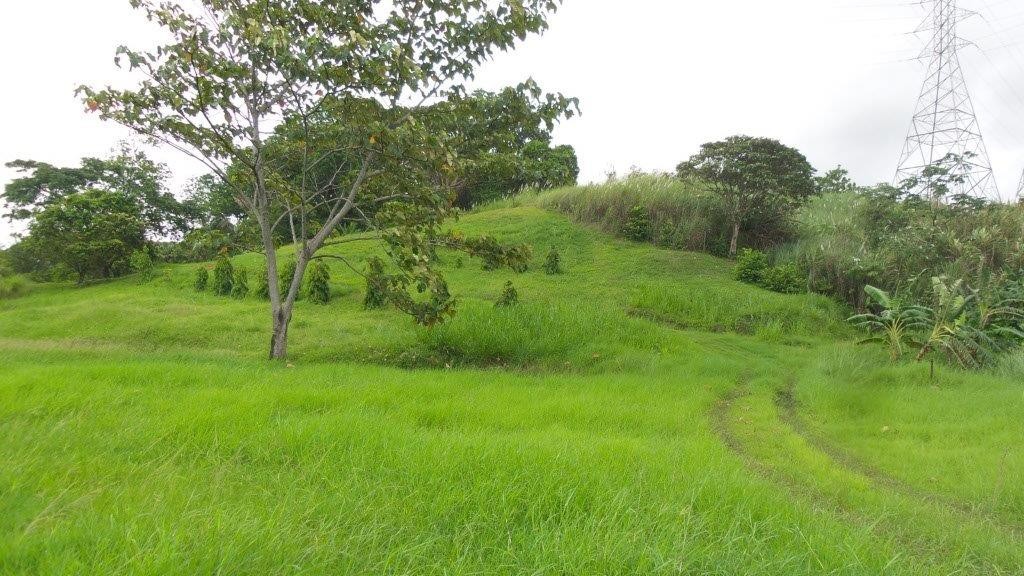 Bahia Las Minas Land for Sale in Colon Panama