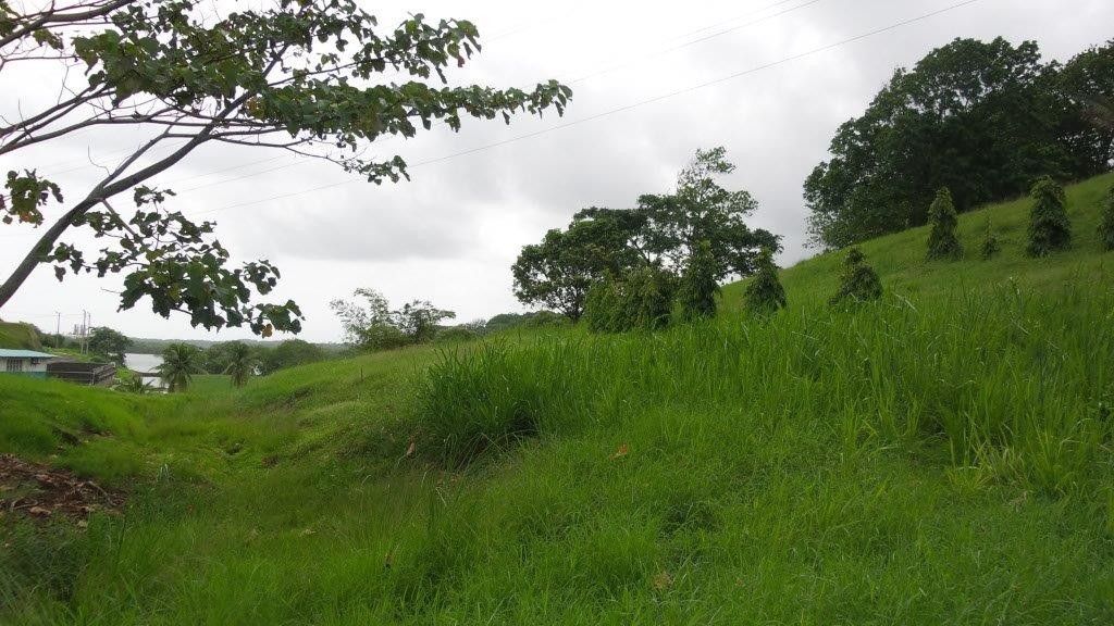 Bahia Las Minas Land for Sale in Colon Panama