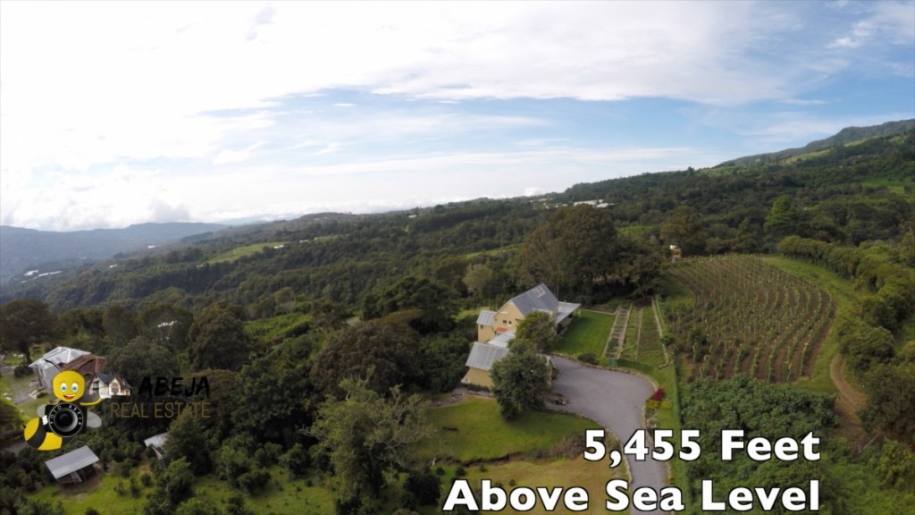 Luxury Boutique Coffee Farm in Boquete