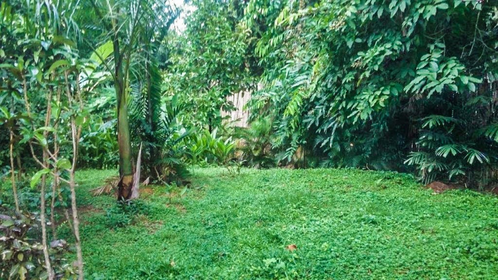 Restored Panama Canal Zone Home