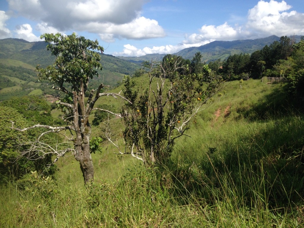 Finca El Roble 65 Acre Riverfront Cattle Ranch Near San Isidro del