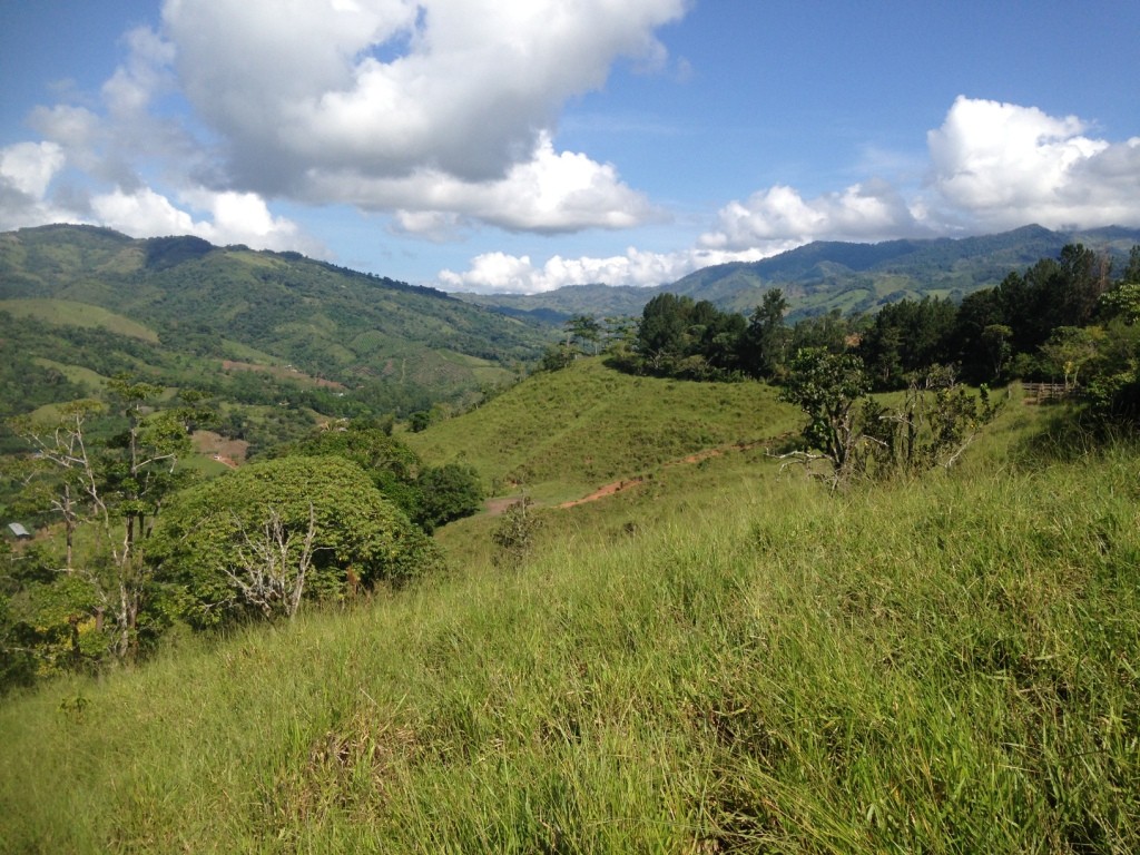 Finca El Roble 65 Acre Riverfront Cattle Ranch Near San Isidro del