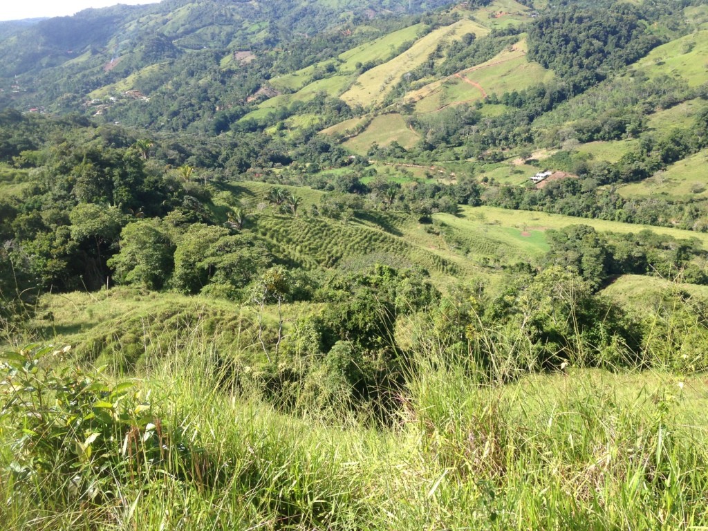 Finca El Roble 65 Acre Riverfront Cattle Ranch Near San Isidro del