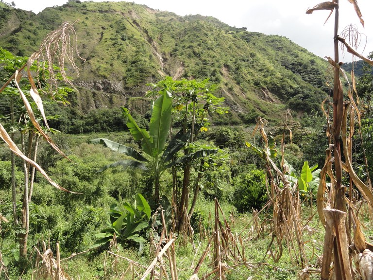 Countryside Agricultural Land/Farm For Sale in Apuela