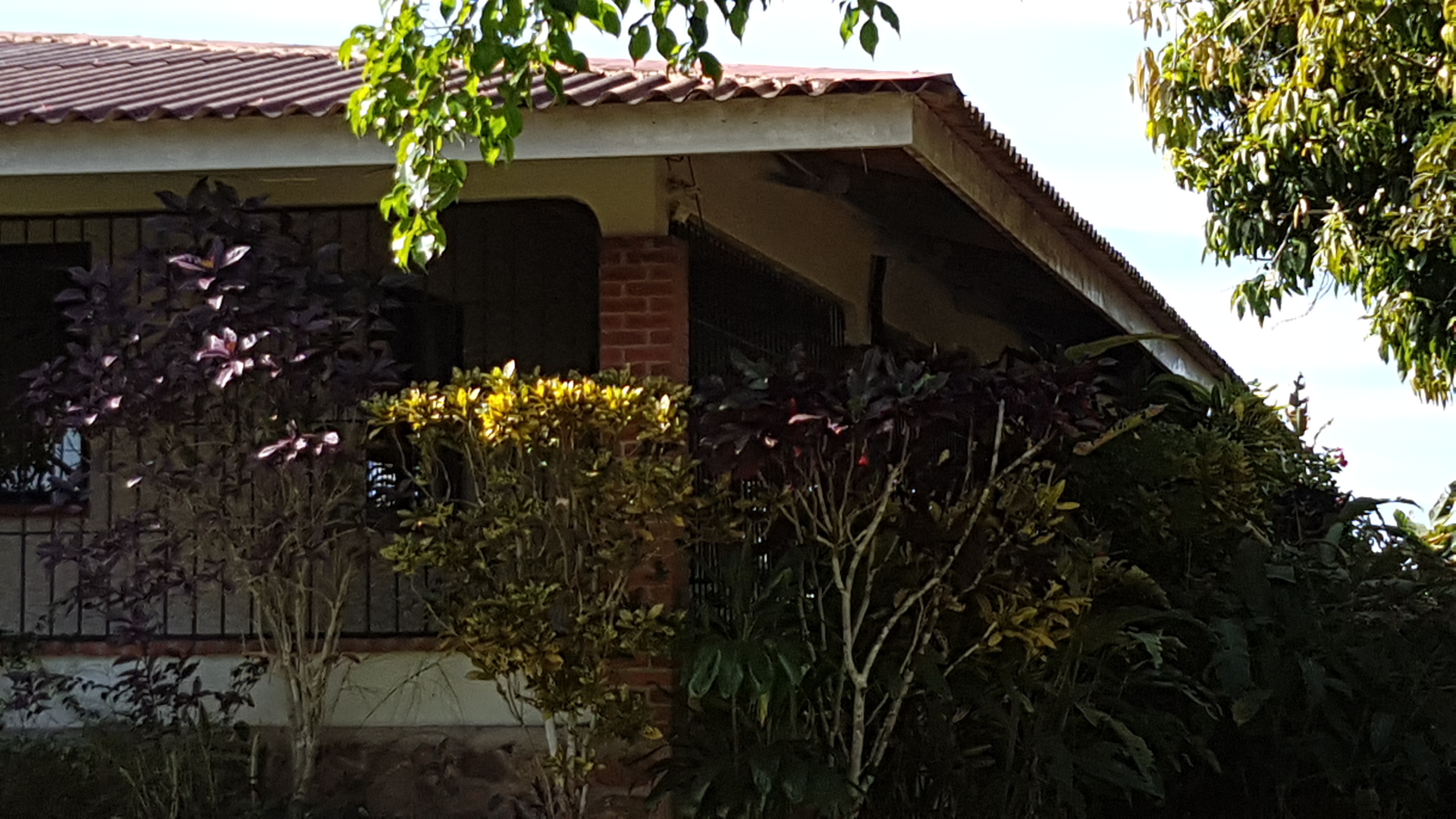 Real Estate in Aguadulce District Panama 5 Bedrooms House on 8