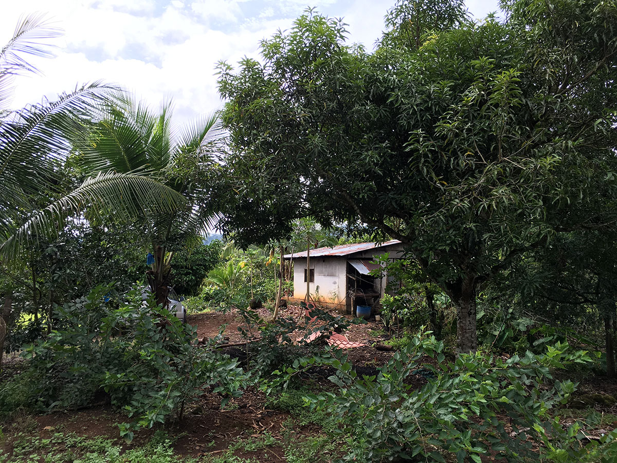 SanIsidrodelGeneralCostaRicaproperty