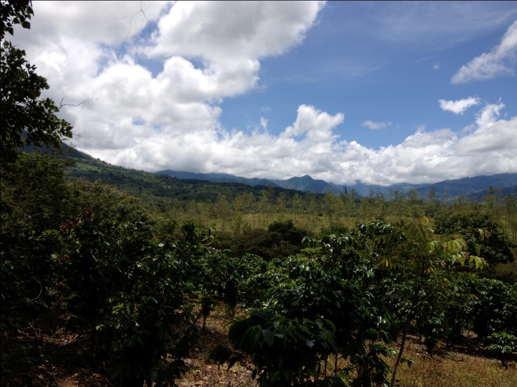 SanIsidrodelGeneralCostaRicaproperty