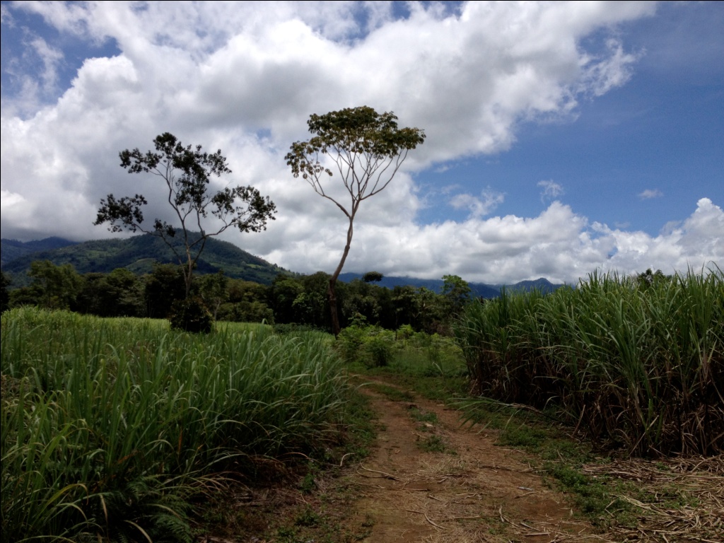 SanIsidrodelGeneralCostaRicaproperty