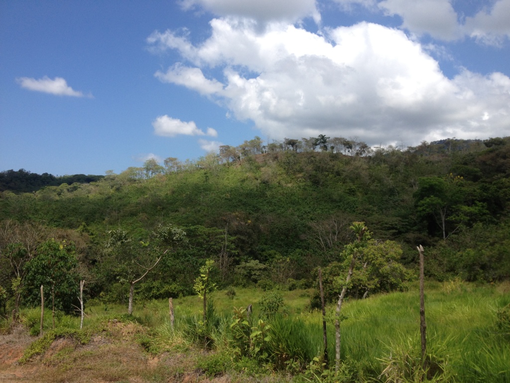 OsaPeninsulaCostaRicapropertycostaricarealestateservicePROP62911