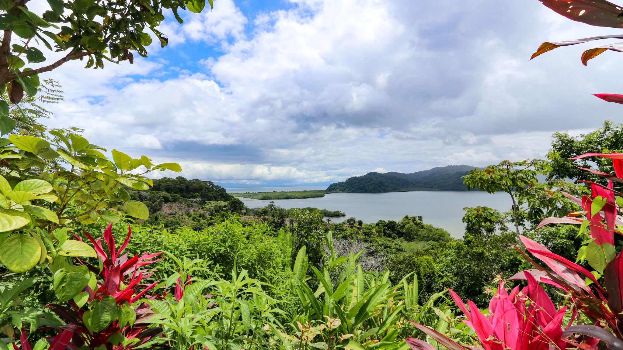 Unique Property Overlooking Pristine Golfito Bay and Golfo Dulce