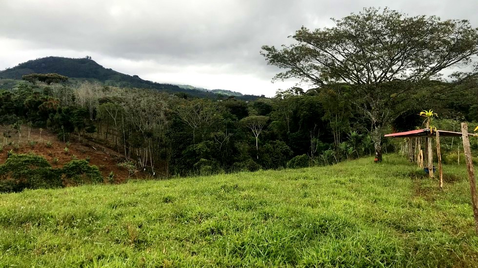 SanIsidrodelGeneralCostaRicaproperty