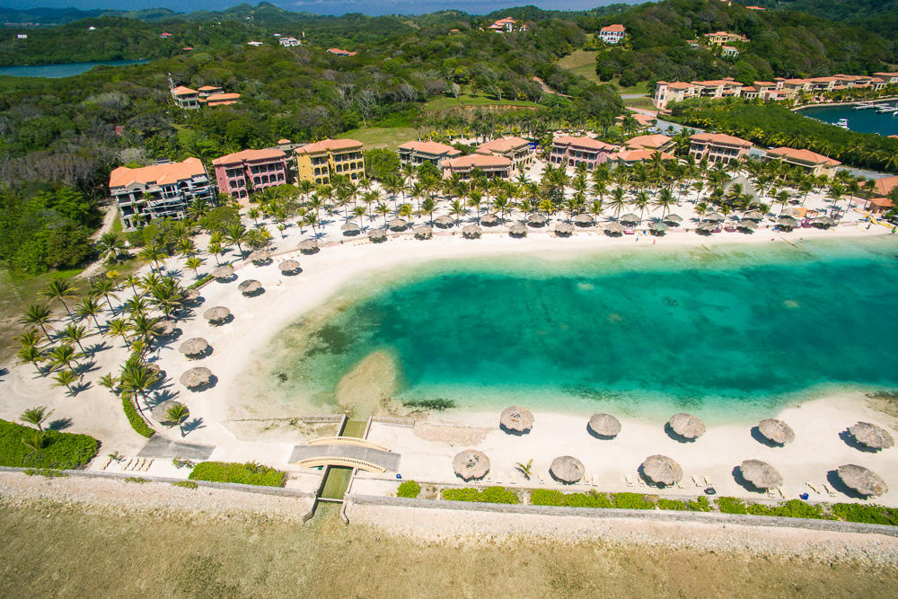 Beach Front Condo 96 Parrot Tree