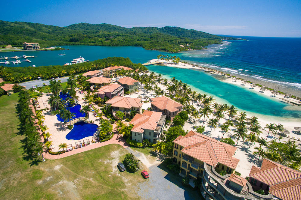 Beach Front Condo 96 Parrot Tree