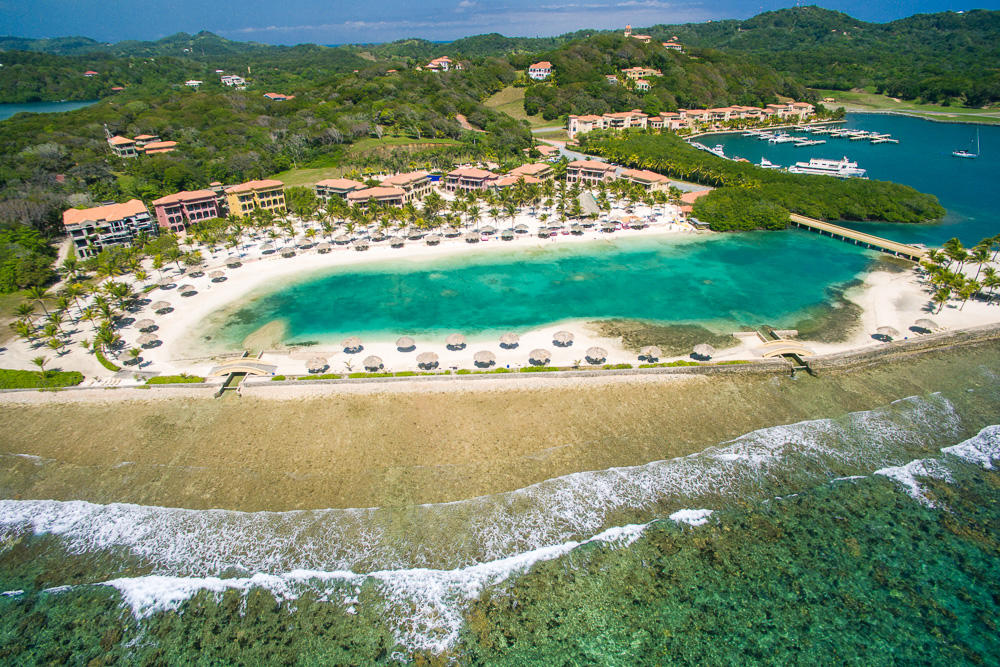 Beach Front Condo 96 Parrot Tree