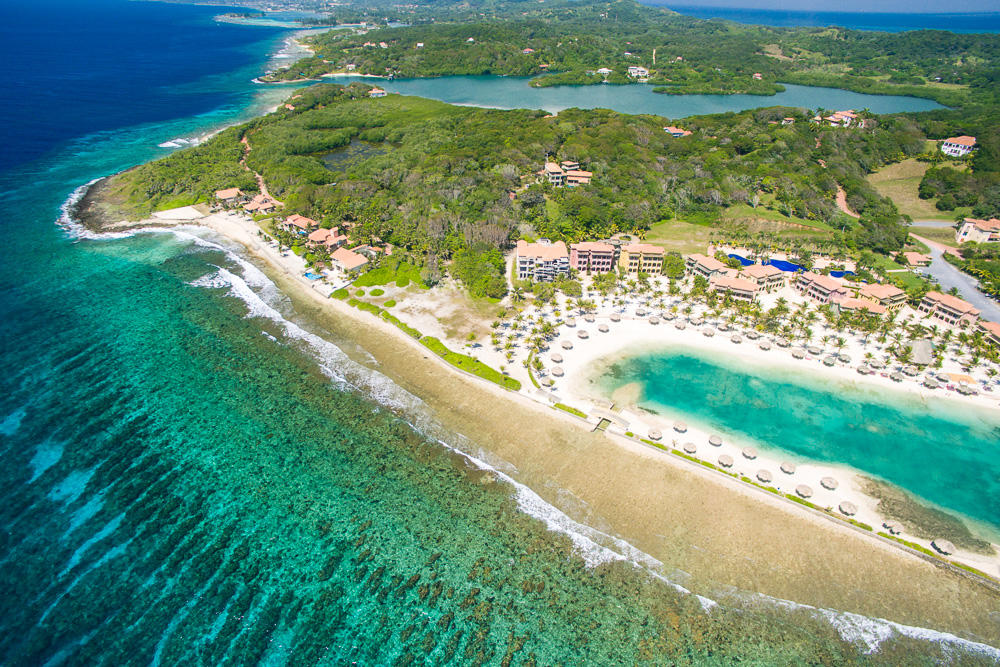 Beach Front Condo 96 Parrot Tree
