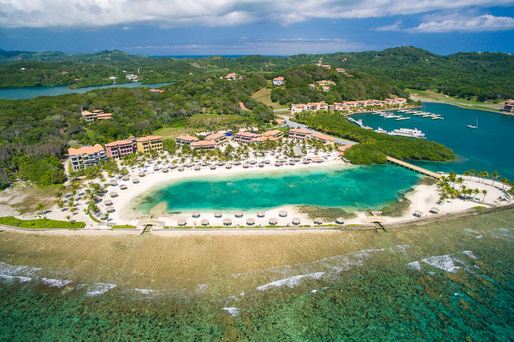 Beach Front Condo 96 Parrot Tree