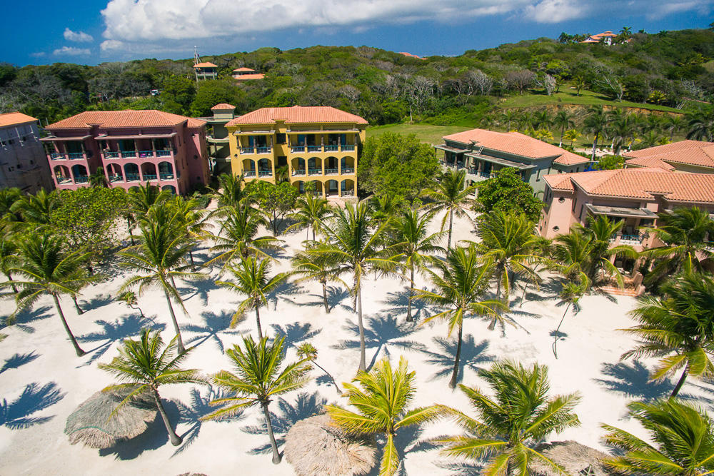 Beach Front Condo 96 Parrot Tree