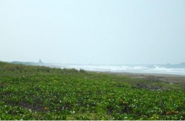 Nicaragua Real Estate For Sale Viva Tropical