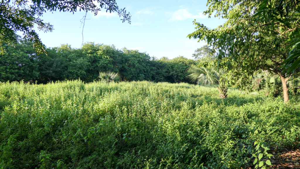 CocoLocoLotNorthernNicaraguapropertyforsale61024×576